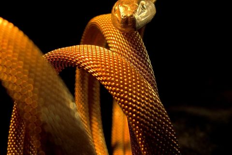 Serpents Kiss