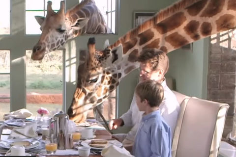 Giraffe Manor