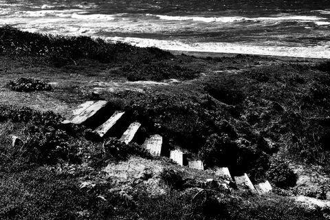 Stairs of rot 