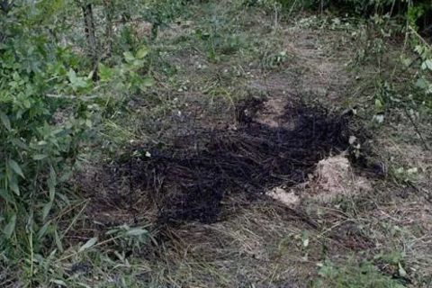 Backyard Barbecue Murder so sad - fiction piece 