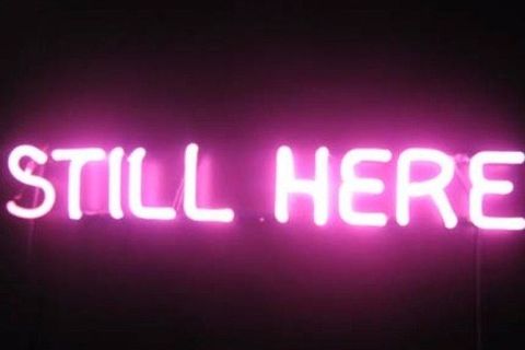 Still Here!