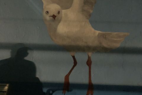 Seagull 