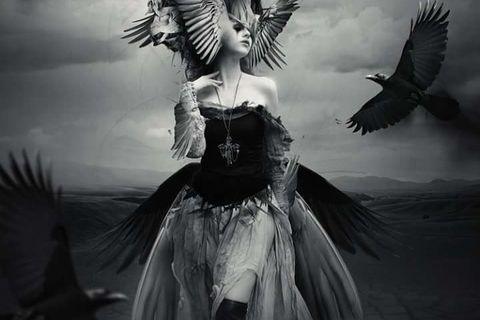 the calling