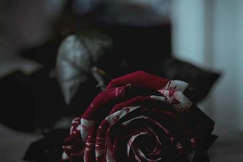 beneath these ribs 