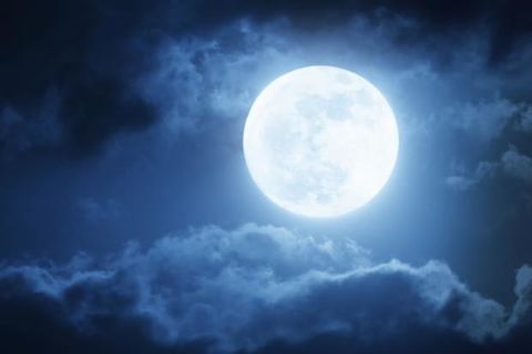The Night