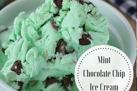 Mint Chocolate chip ice cream 