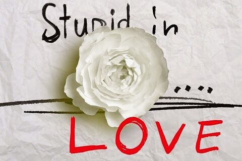 Stupid in Love