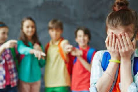 Bullies