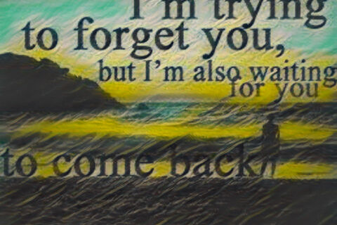 I can’t forget you