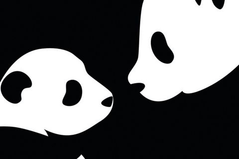 AMANDA THE PANDA