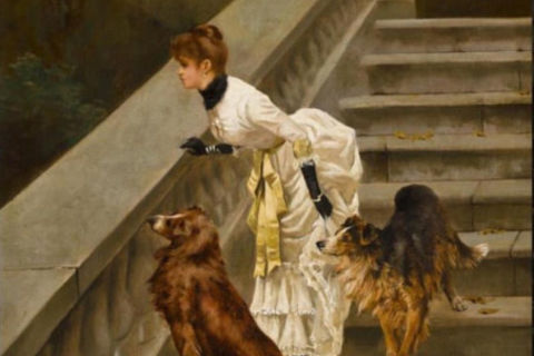 The bark of dog 