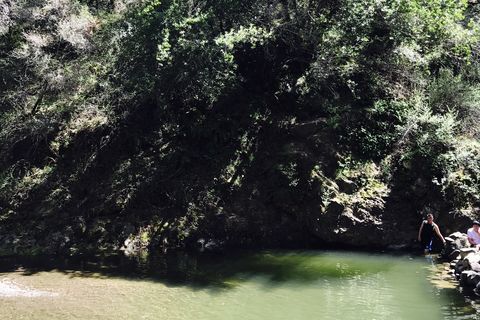 Jade