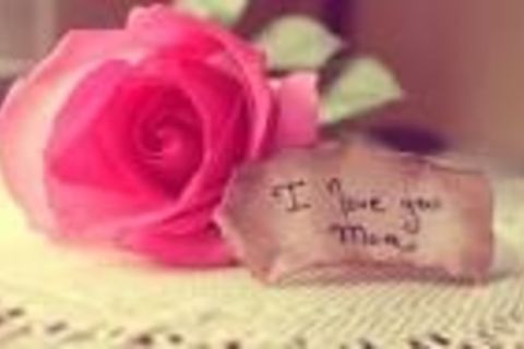 IF MEMORIES COULD BRING YOU BACK