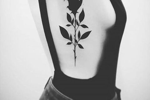 Black Rose