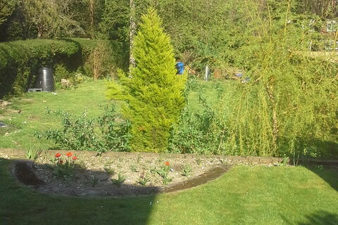 Birdsong Sanctuary 