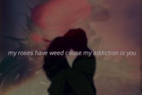 my roses have weed cause my addiction is you