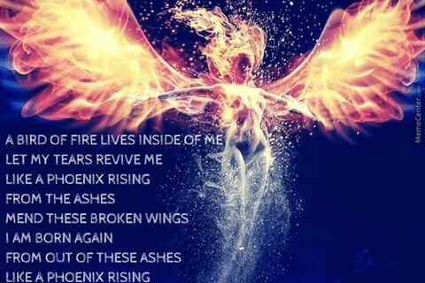 Like A Phoenix Reborn