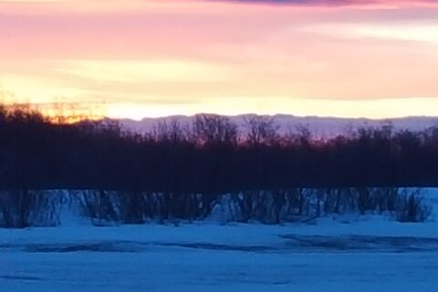 The Horizon Light