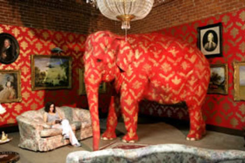 The Elephant in the Room