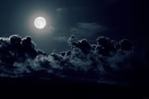Night