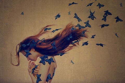 Silken Wings: A Shakespearean Sonnet