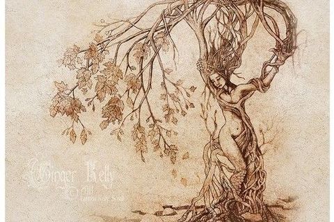 yellow poui tree