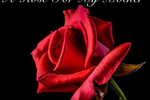 A Rose For My Mother 