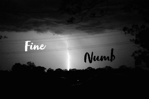 Fine? Or just numb