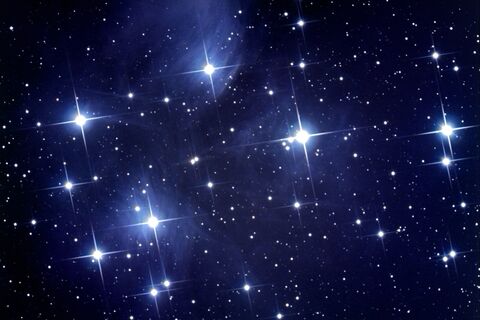 Stargazer...