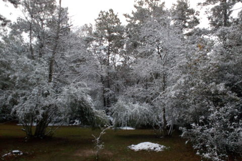 Frozen In Time
