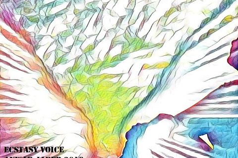 VOICES