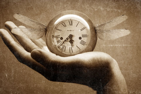 The gift of prophecy