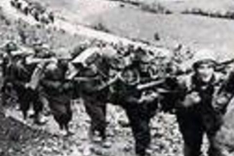 WAR (Veterans Day)