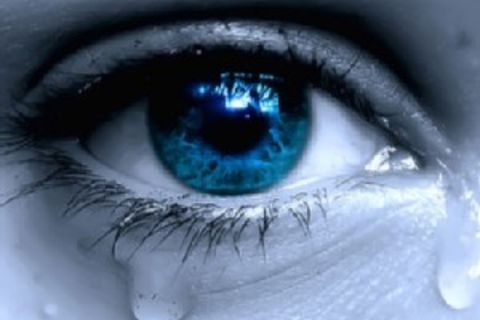 Without You