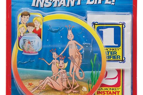 Sea Monkeys