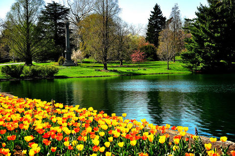 Spring