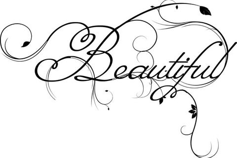 The Beauty War