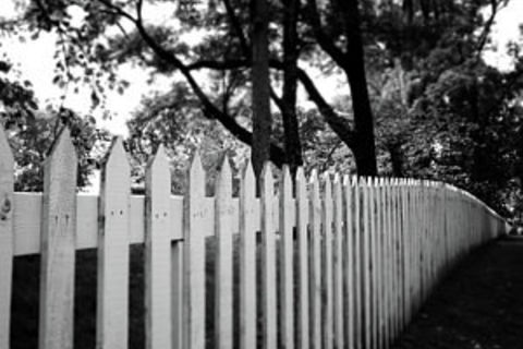 The Fence