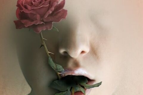 Blood Rose...