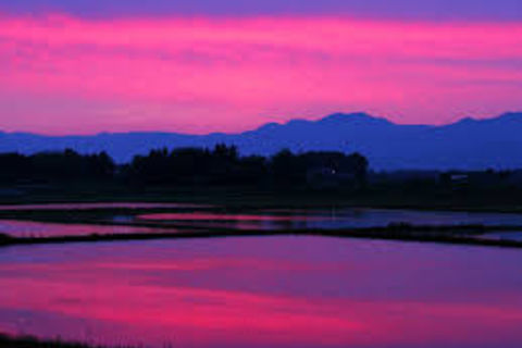 Bliss Sunset
