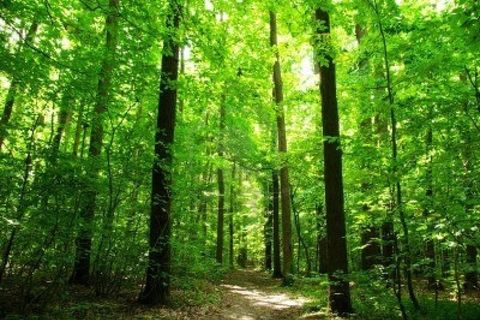 The street I live on