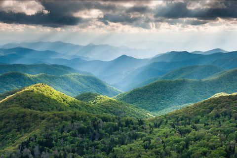 Ode to John Muir 