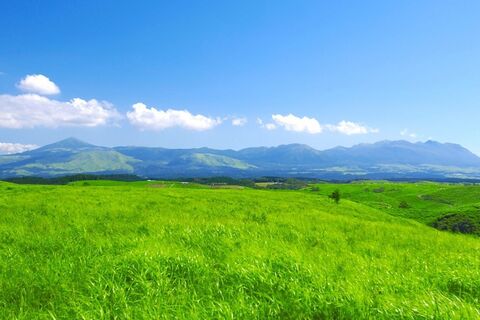My Green Blanket...