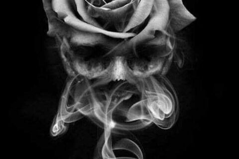 Smokey Rose...