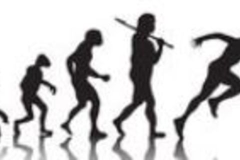 Life&#039;s Competition