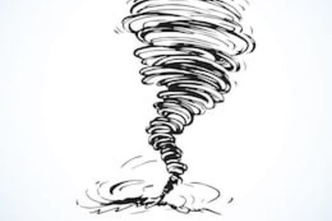 The wind