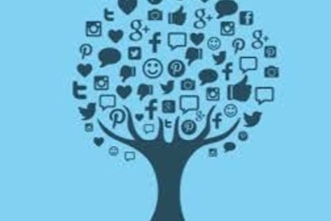 Discover Ring (visa Vis) My Fanbase