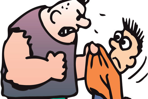 THE BULLY