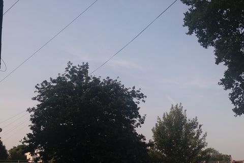 TRAINERS ON A TELEGRAPH WIRE 