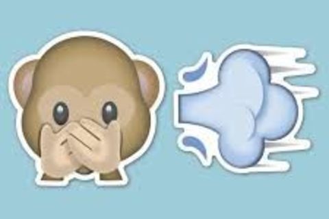 Dilemma of a Fart 